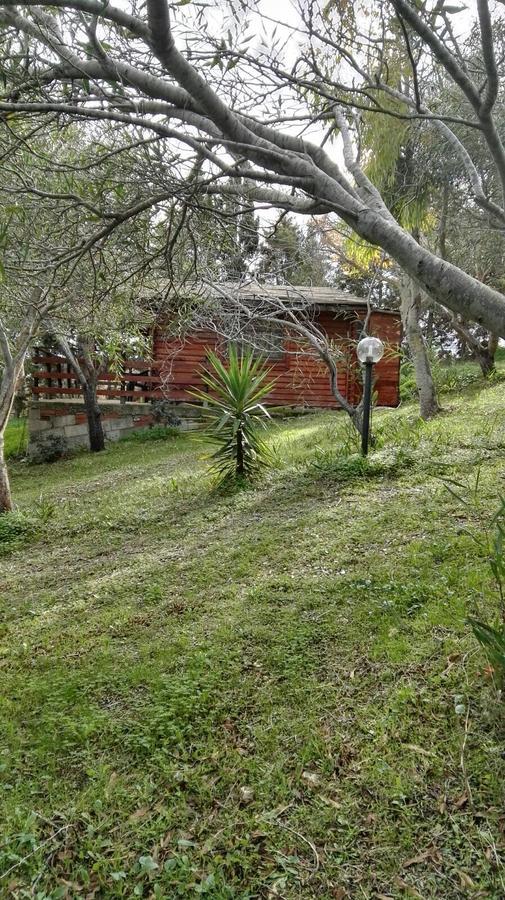 La Luce Del Sinis Ξενοδοχείο Riola Sardo Εξωτερικό φωτογραφία
